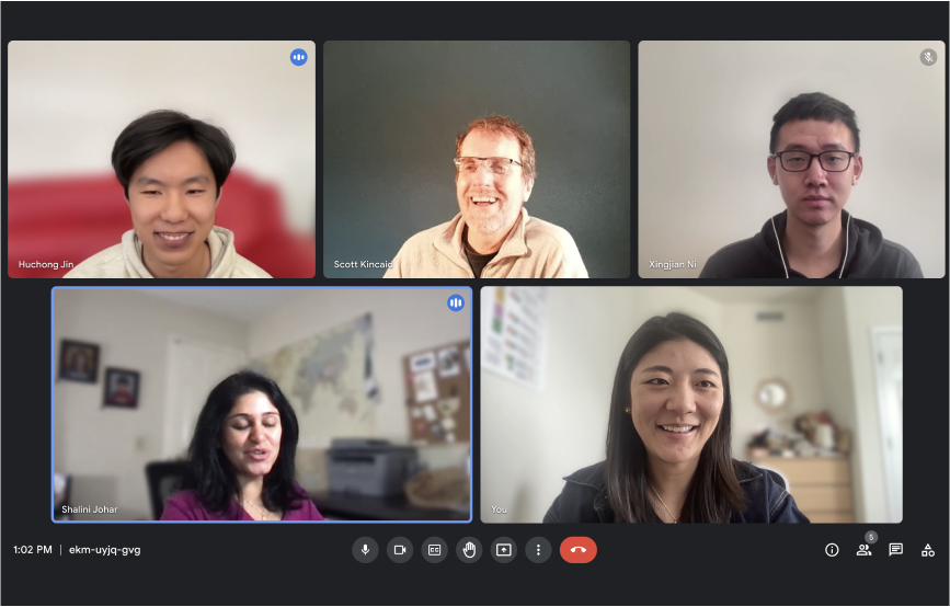Screenshot of the remote expert review meeting: people discussing and laughing